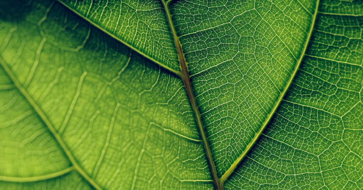 Thumbnail for Environment & Sustainability  Player